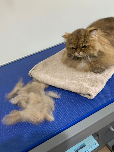 Grooming Van Image