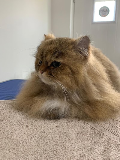 Grooming Van Image