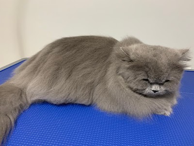 Grooming Van Image