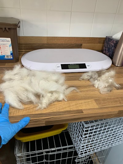 Grooming Van Image