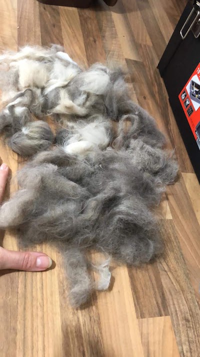 Grooming Van Image