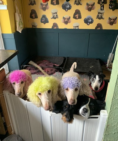 Grooming Van Image