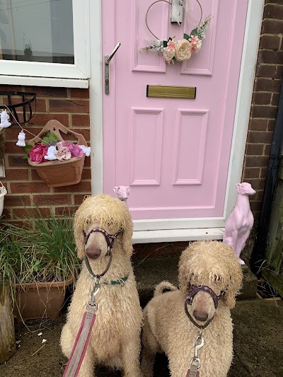Rachael's Mobile Dog Grooming