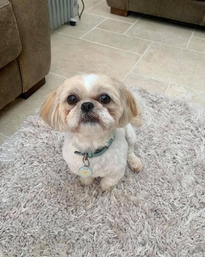 Grooming Van Image