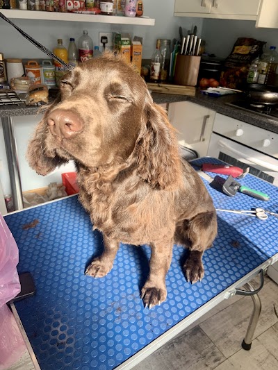 Grooming Van Image