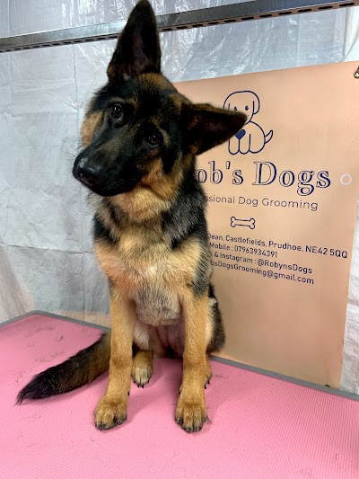 Grooming Van Image