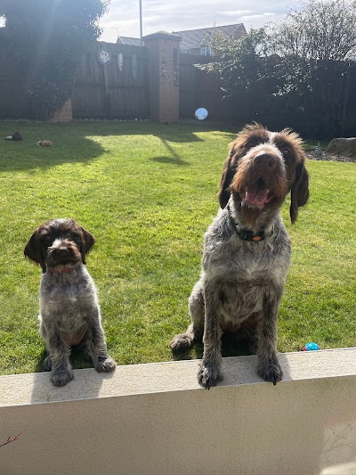 Grooming Van Image