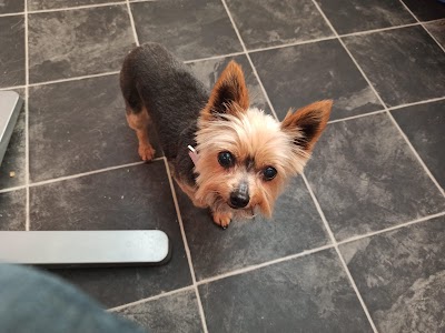 Grooming Van Image