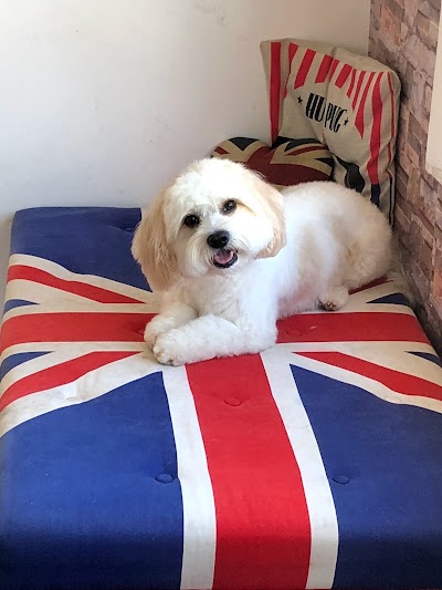 Grooming Van Image