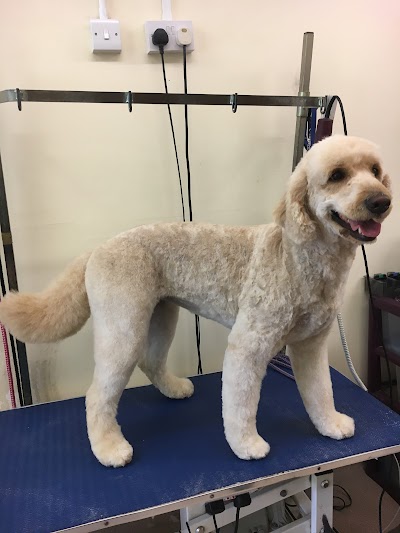 Grooming Van Image