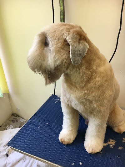 Grooming Van Image
