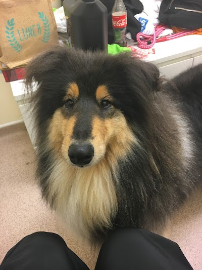 Grooming Van Image