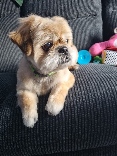 Grooming Van Image