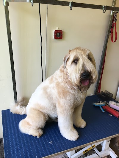 Grooming Van Image