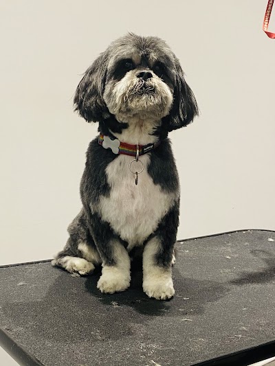 Grooming Van Image