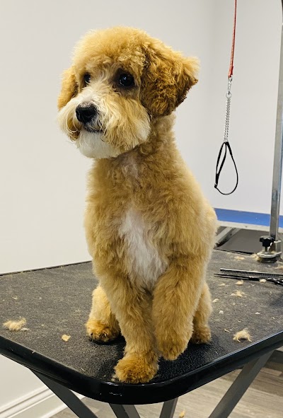 Grooming Van Image