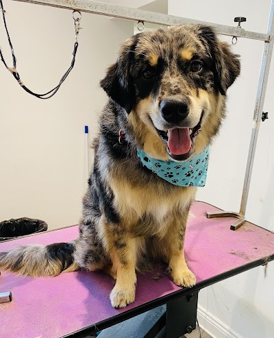 Grooming Van Image