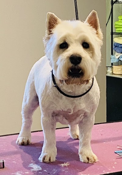 Grooming Van Image