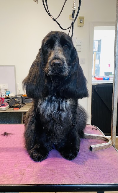 Grooming Van Image