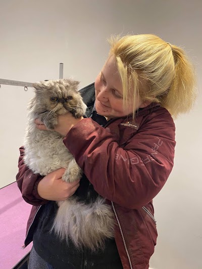 Grooming Van Image