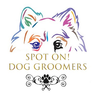 Grooming Van Image
