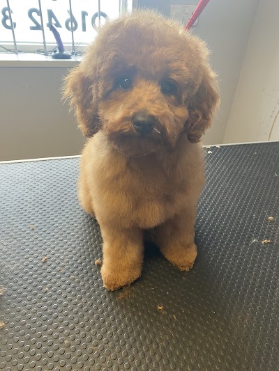 Grooming Van Image