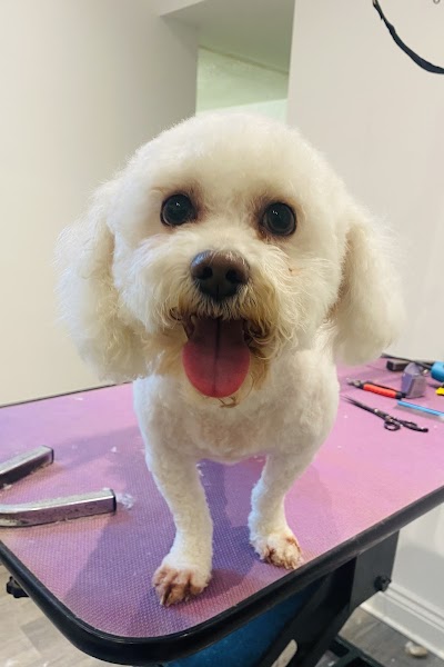 Grooming Van Image