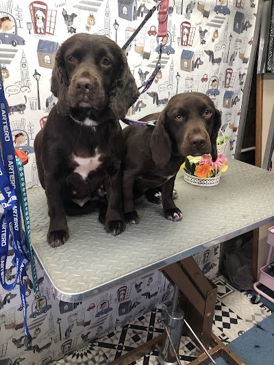 Grooming Van Image