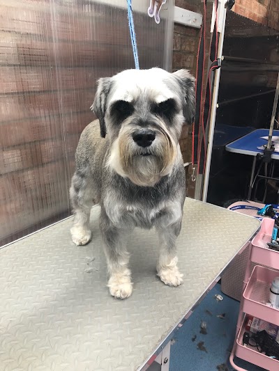 Grooming Van Image