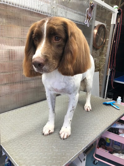 Grooming Van Image
