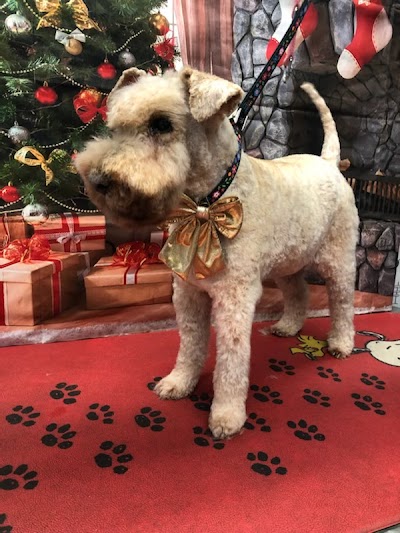 Grooming Van Image