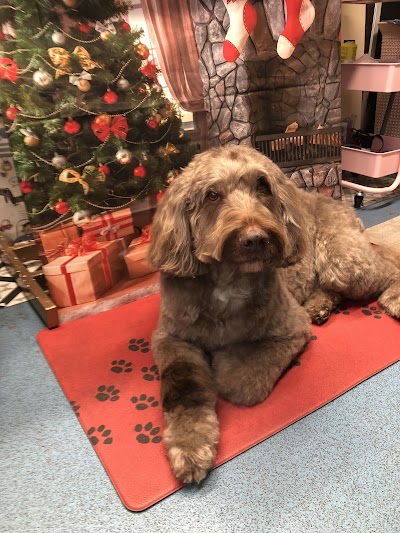 Grooming Van Image