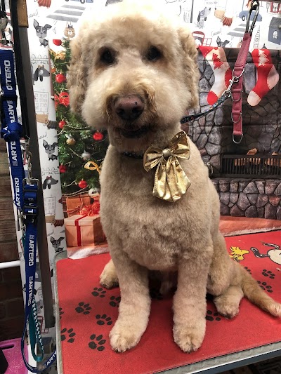 Tanya's Dog Grooming