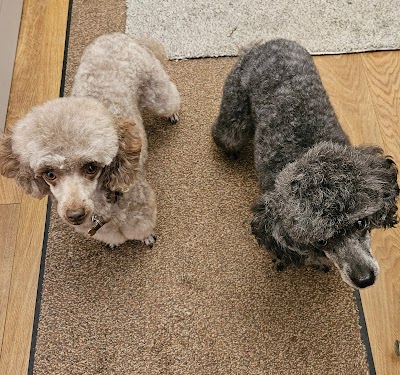 Terry's Dog Grooming