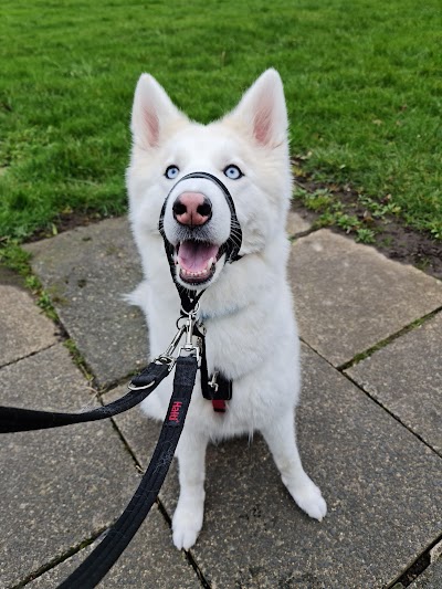 The Dog Pamperer