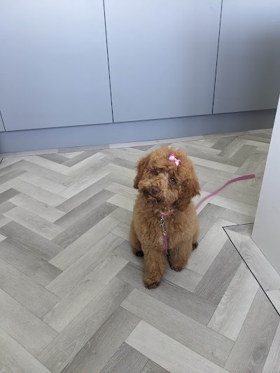 Grooming Van Image
