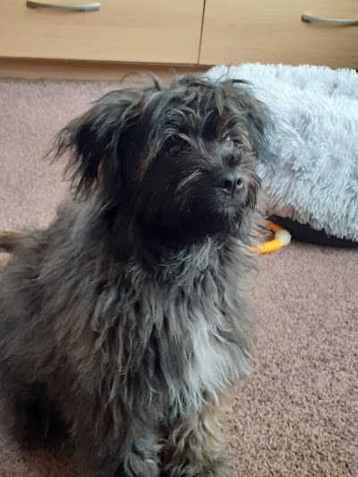 Grooming Van Image