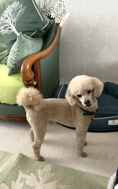 Grooming Van Image