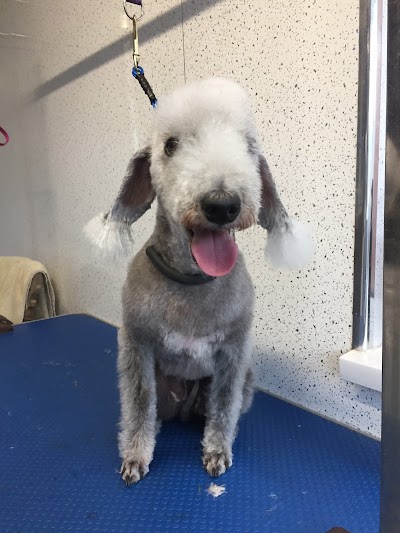 Grooming Van Image