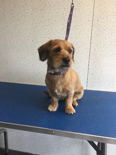 Grooming Van Image