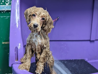 Grooming Van Image