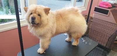 Grooming Van Image