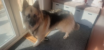 Grooming Van Image