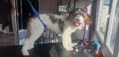 Grooming Van Image