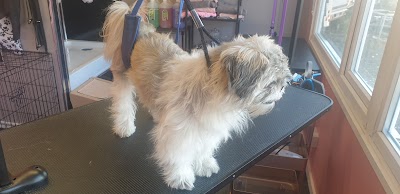 Grooming Van Image