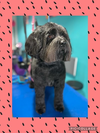 Grooming Van Image