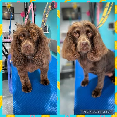 Grooming Van Image