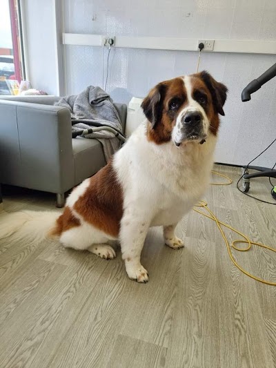 Grooming Van Image