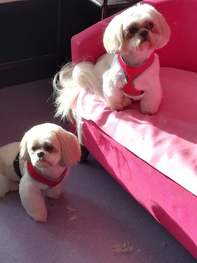 Grooming Van Image