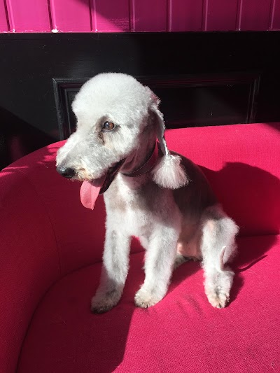 Grooming Van Image